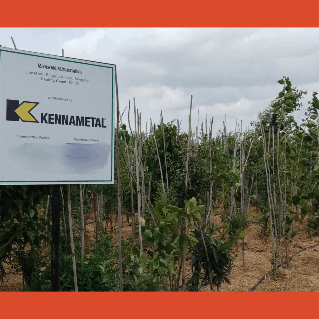 Urban Afforestation Program using Miyawaki Plantation Technique