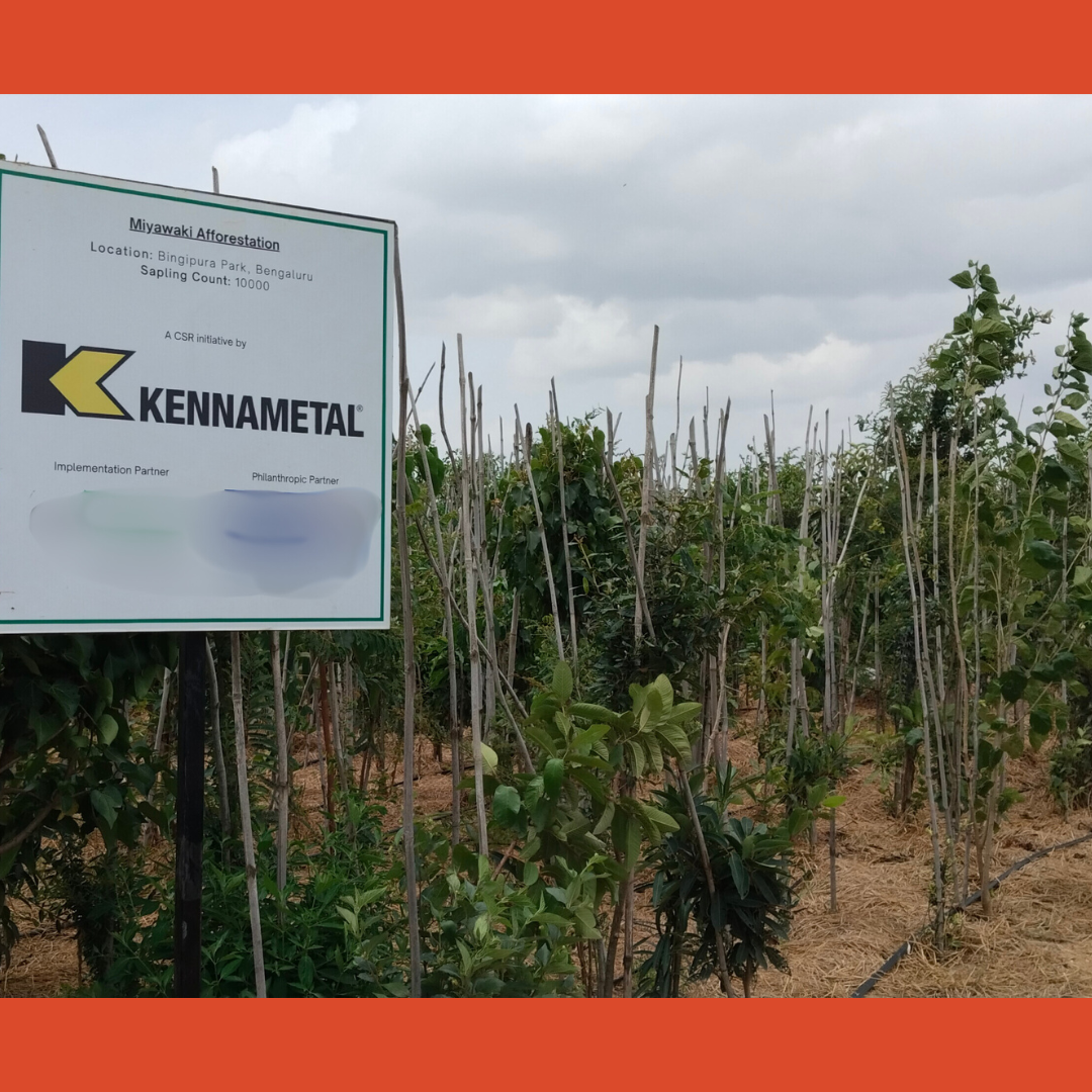 Urban Afforestation Program using Miyawaki Plantation Technique